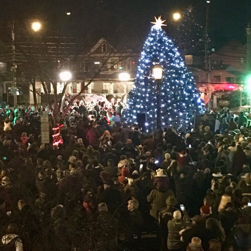 Christmas Tree Lighting in the Borough